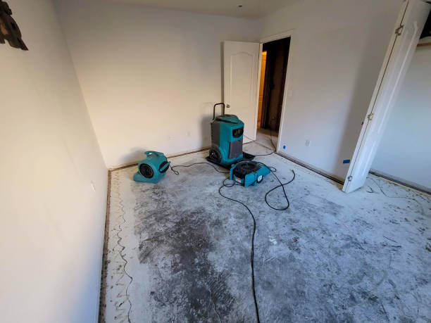 Best Carpet water damage restoration  in Tysons, VA