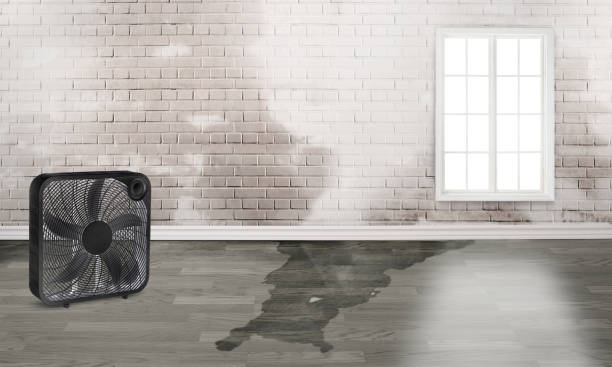 Best Residential water damage restoration  in Tysons, VA