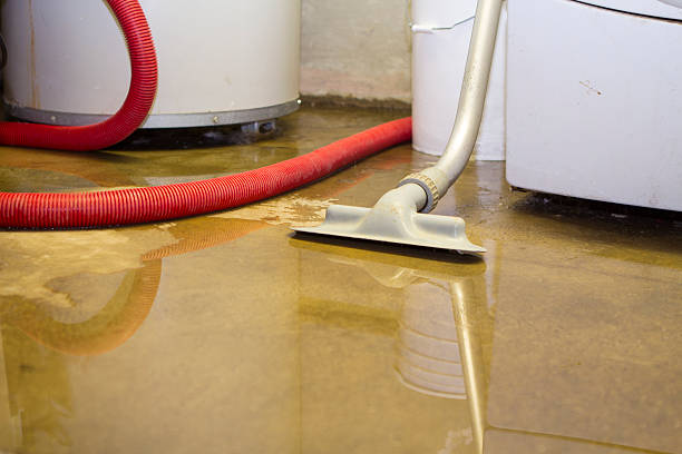 Trusted Tysons, VA Water damage restoration Experts