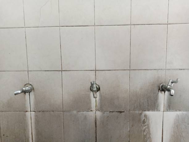 Water damage restoration mold remediation in Tysons, VA